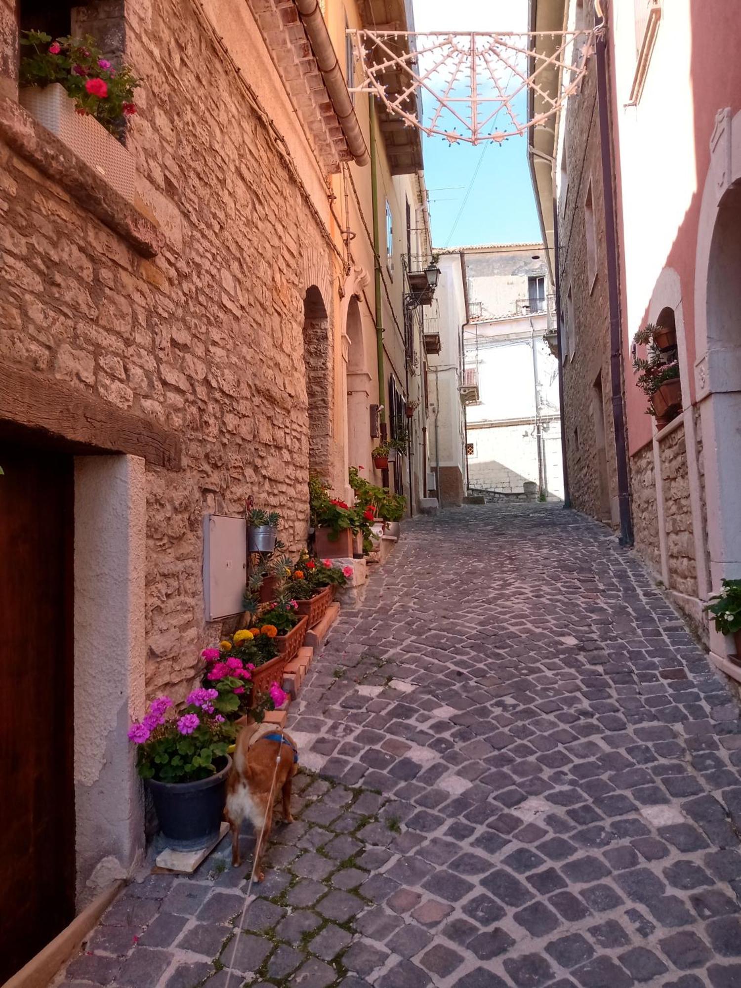 Bed and Breakfast Ca' Di Renzo Macchiagodena Экстерьер фото